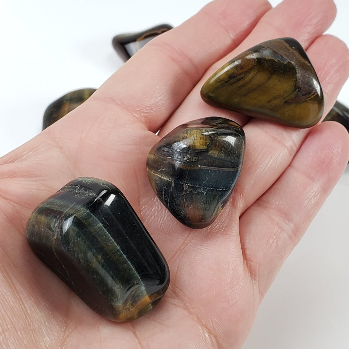  Tumbled Tigers Eye | Democratic Republic of the Congo, Africa 4