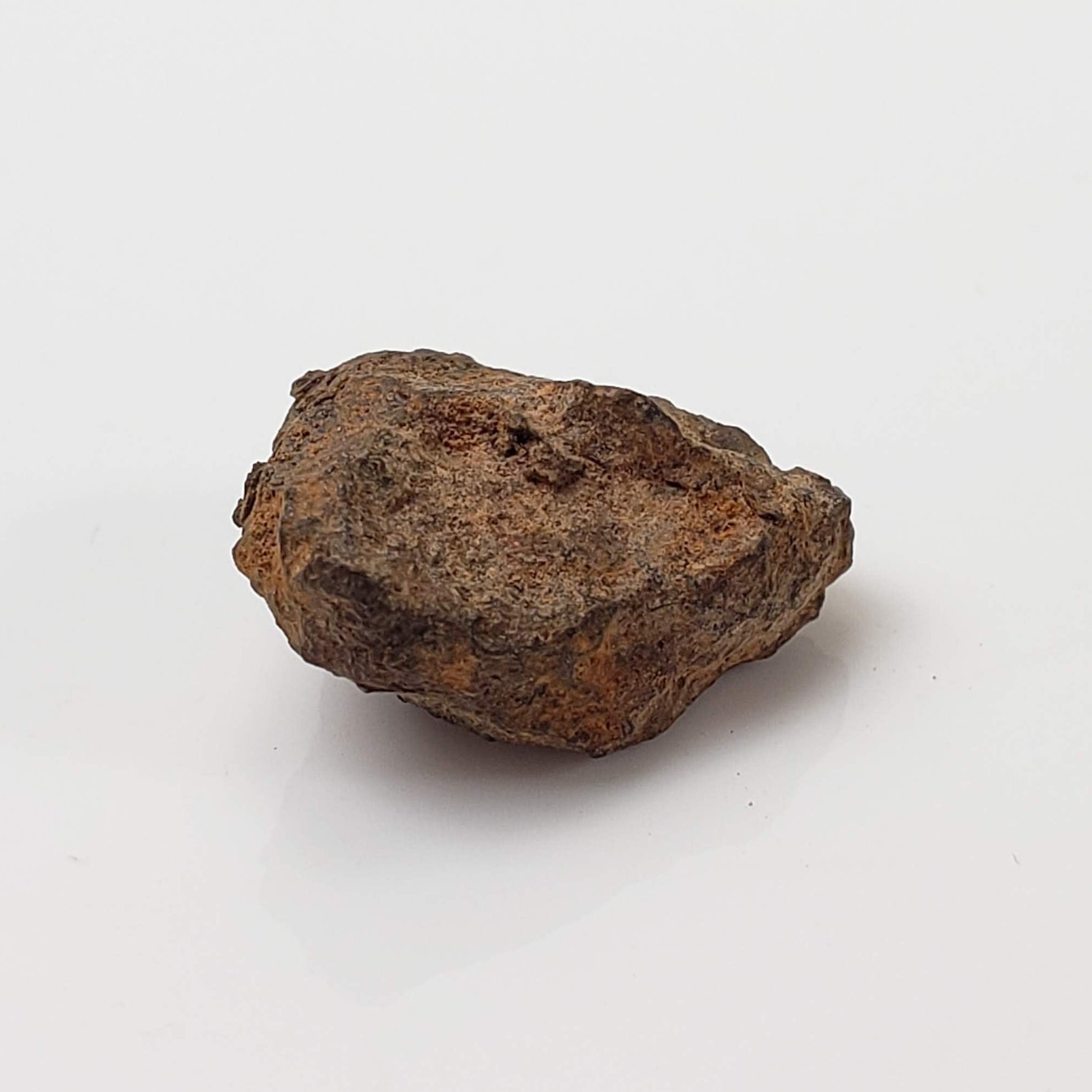 Vaca Muerta Meteorite | 2.46 Grams | Individual | Mesosiderite A1 | Famous | Chile 1