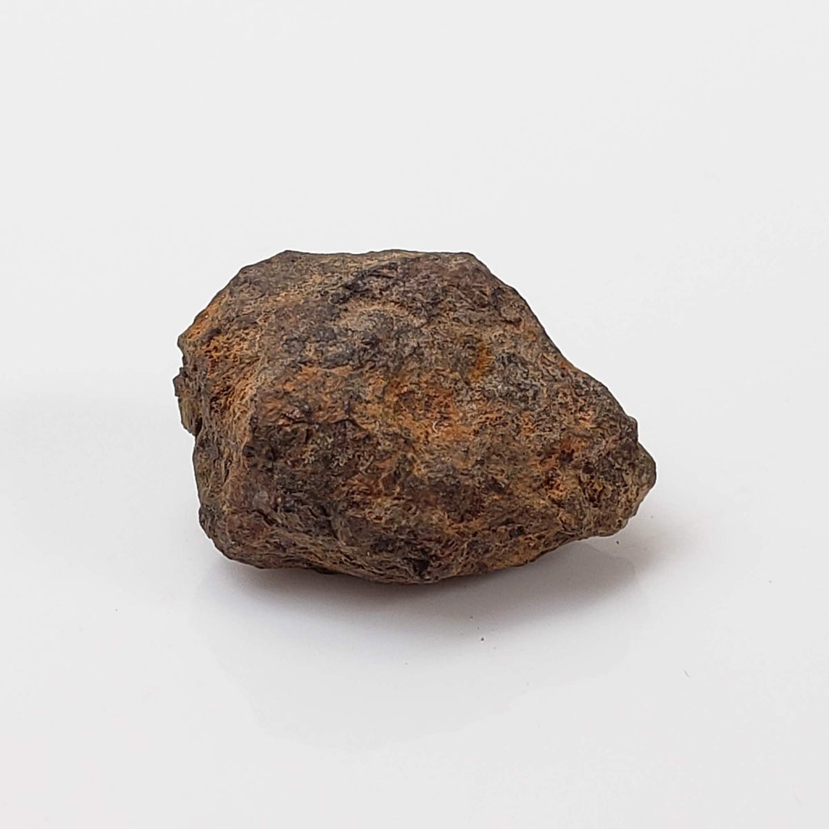 Vaca Muerta Meteorite | 2.46 Grams | Individual | Mesosiderite A1 | Famous | Chile 3