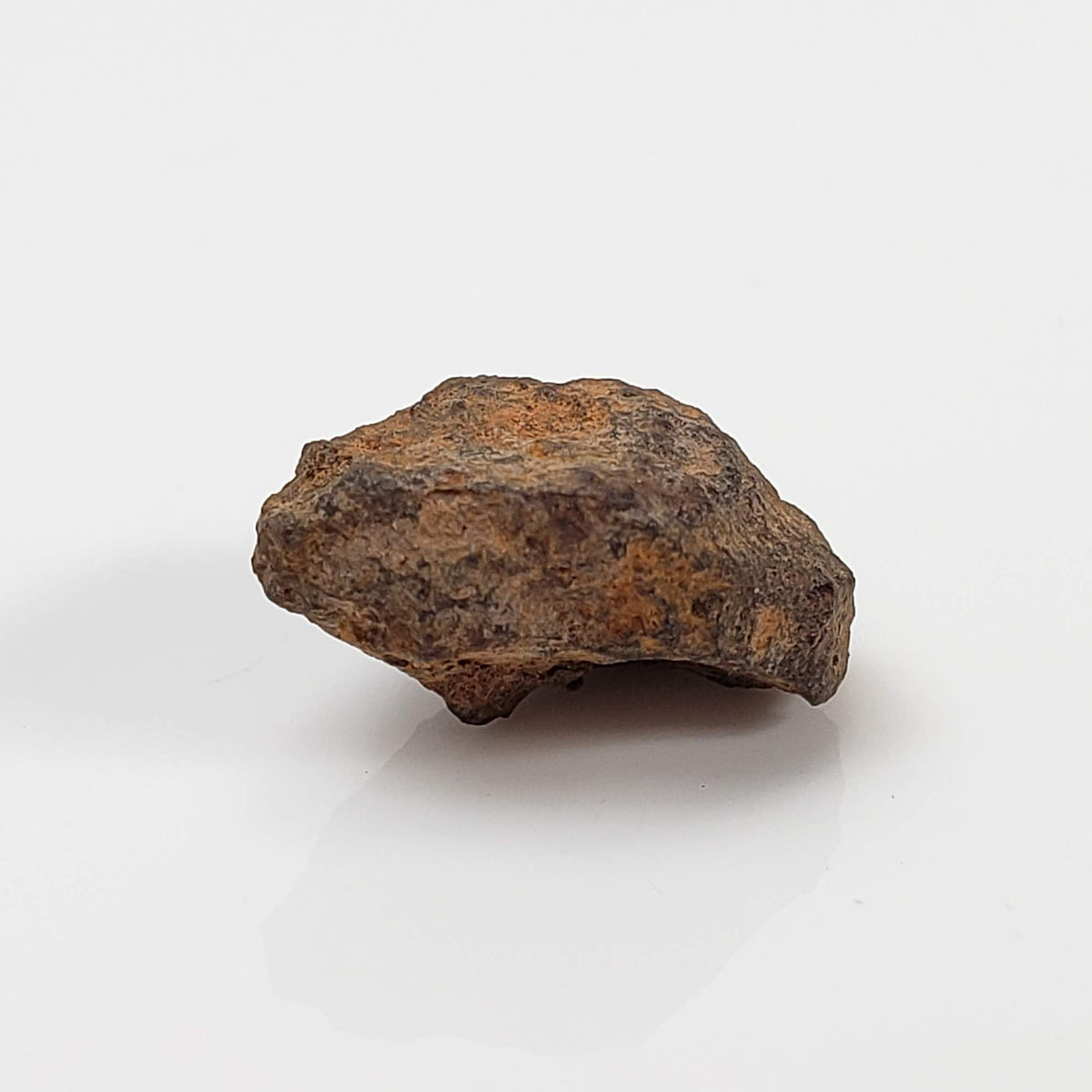 Vaca Muerta Meteorite | 2.46 Grams | Individual | Mesosiderite A1 | Famous | Chile 2