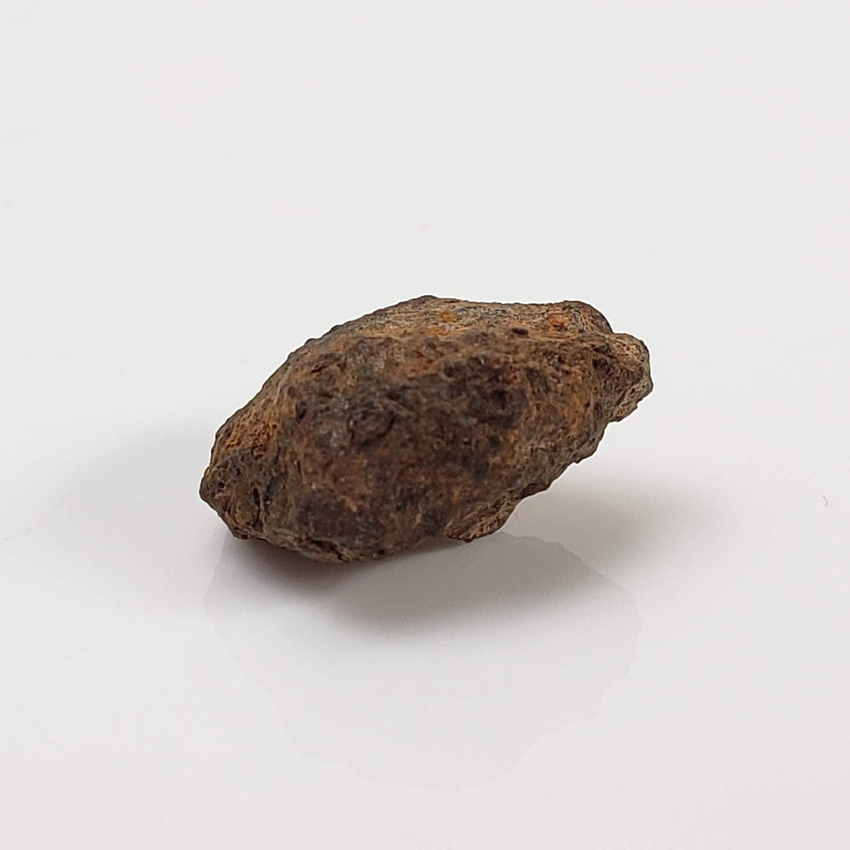 Vaca Muerta Meteorite | 2.46 Grams | Individual | Mesosiderite A1 | Famous | Chile 5