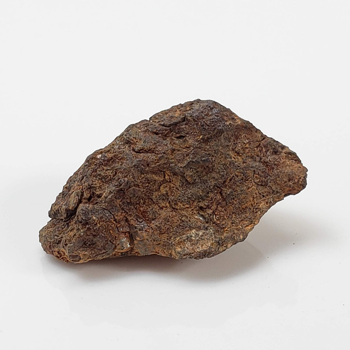 Vaca Muerta Meteorite | 4.04 Grams | Individual | Mesosiderite A1 | Famous | Chile 2