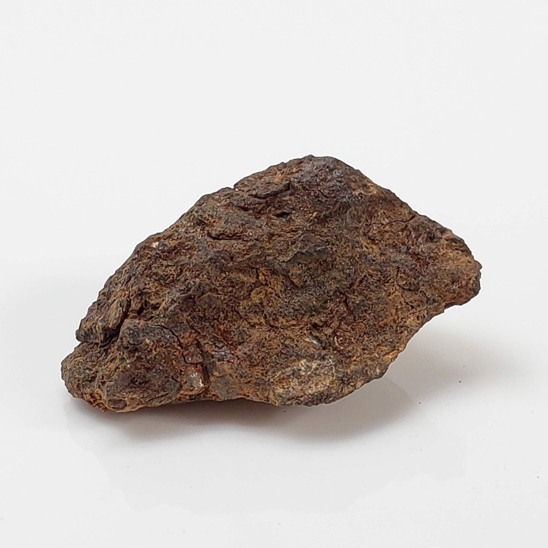 Vaca Muerta Meteorite | 4.04 Grams | Individual | Mesosiderite A1 | Famous | Chile 2