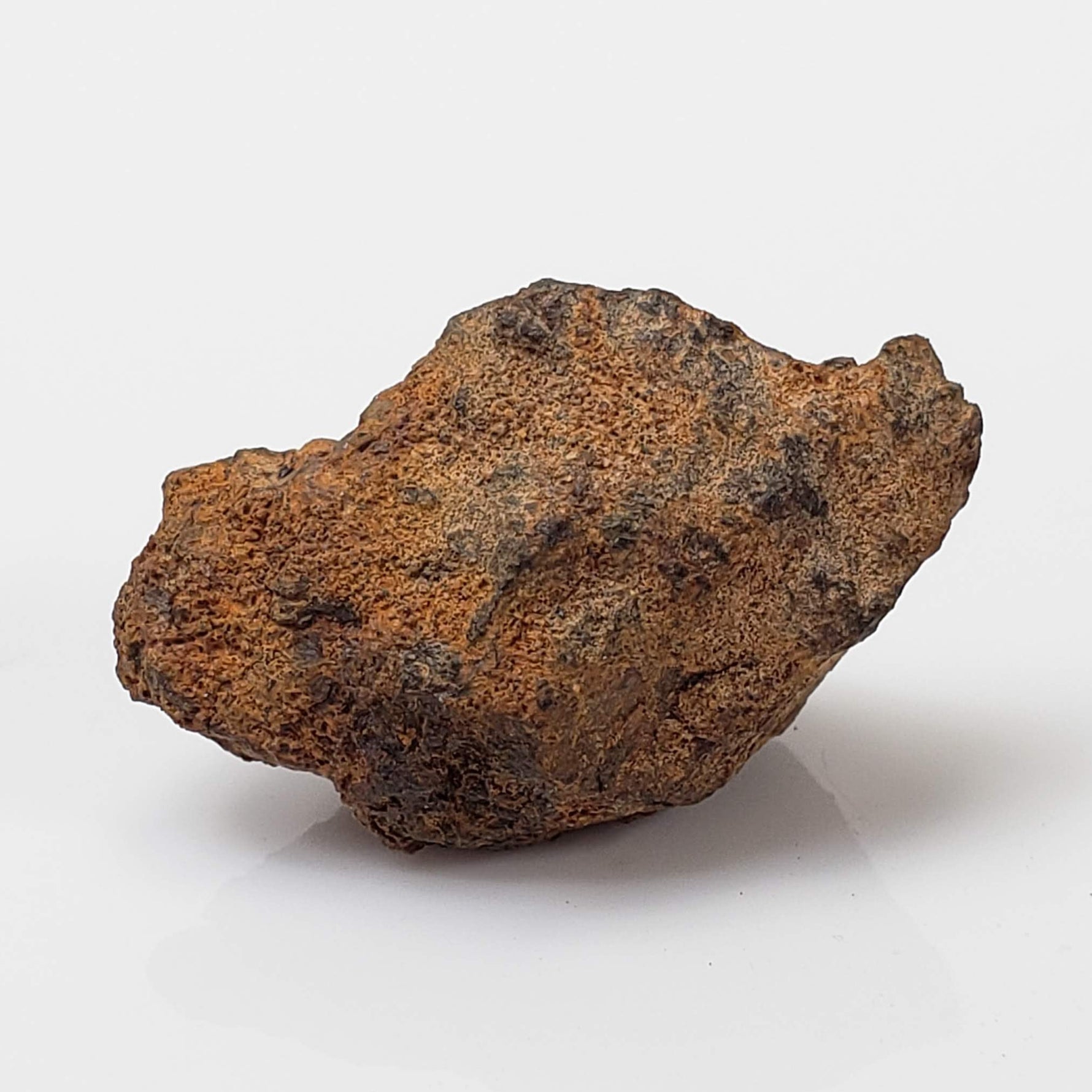 Vaca Muerta Meteorite | 4.04 Grams | Individual | Mesosiderite A1 | Famous | Chile 3