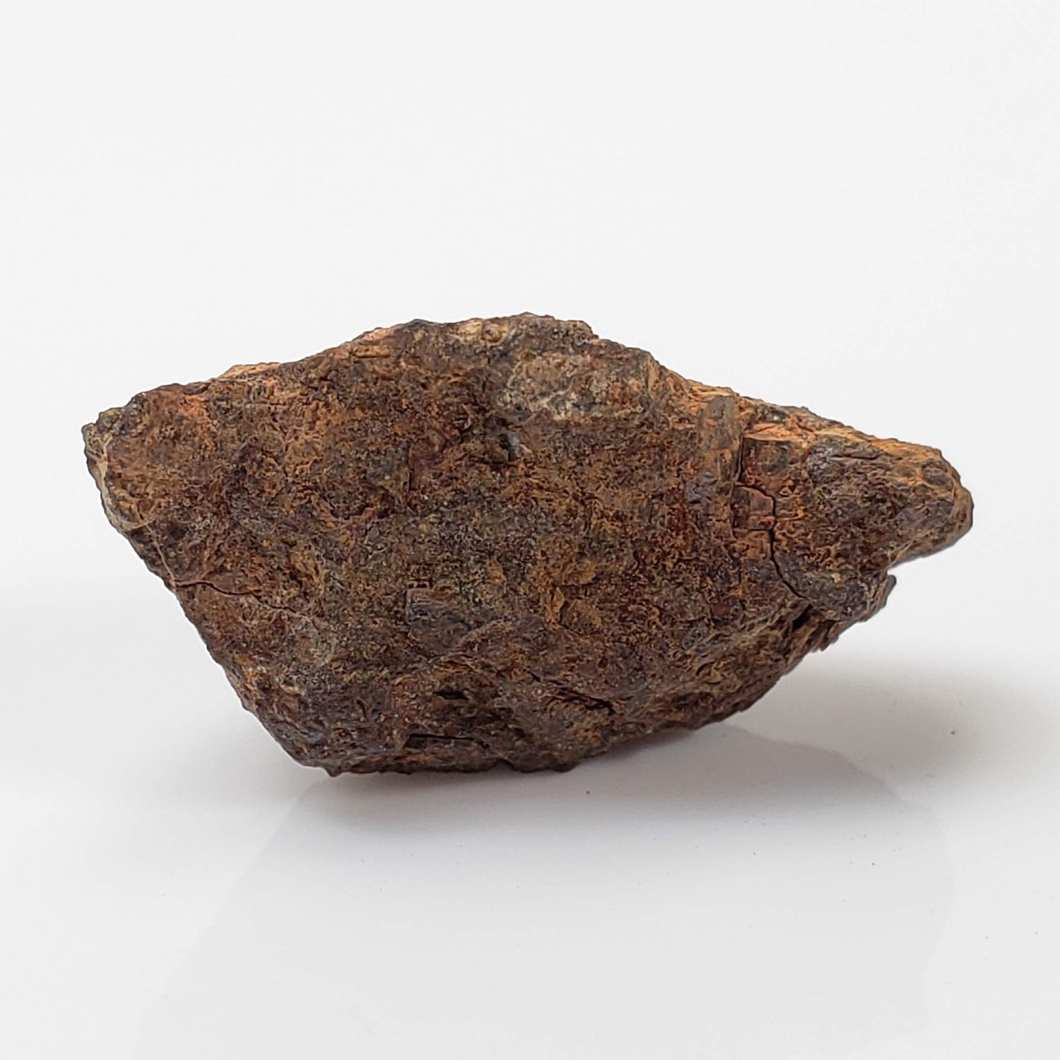 Vaca Muerta Meteorite | 4.04 Grams | Individual | Mesosiderite A1 | Famous | Chile 1
