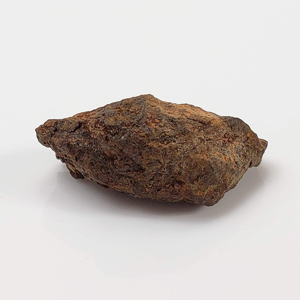 Vaca Muerta Meteorite | 4.04 Grams | Individual | Mesosiderite A1 | Famous | Chile 4