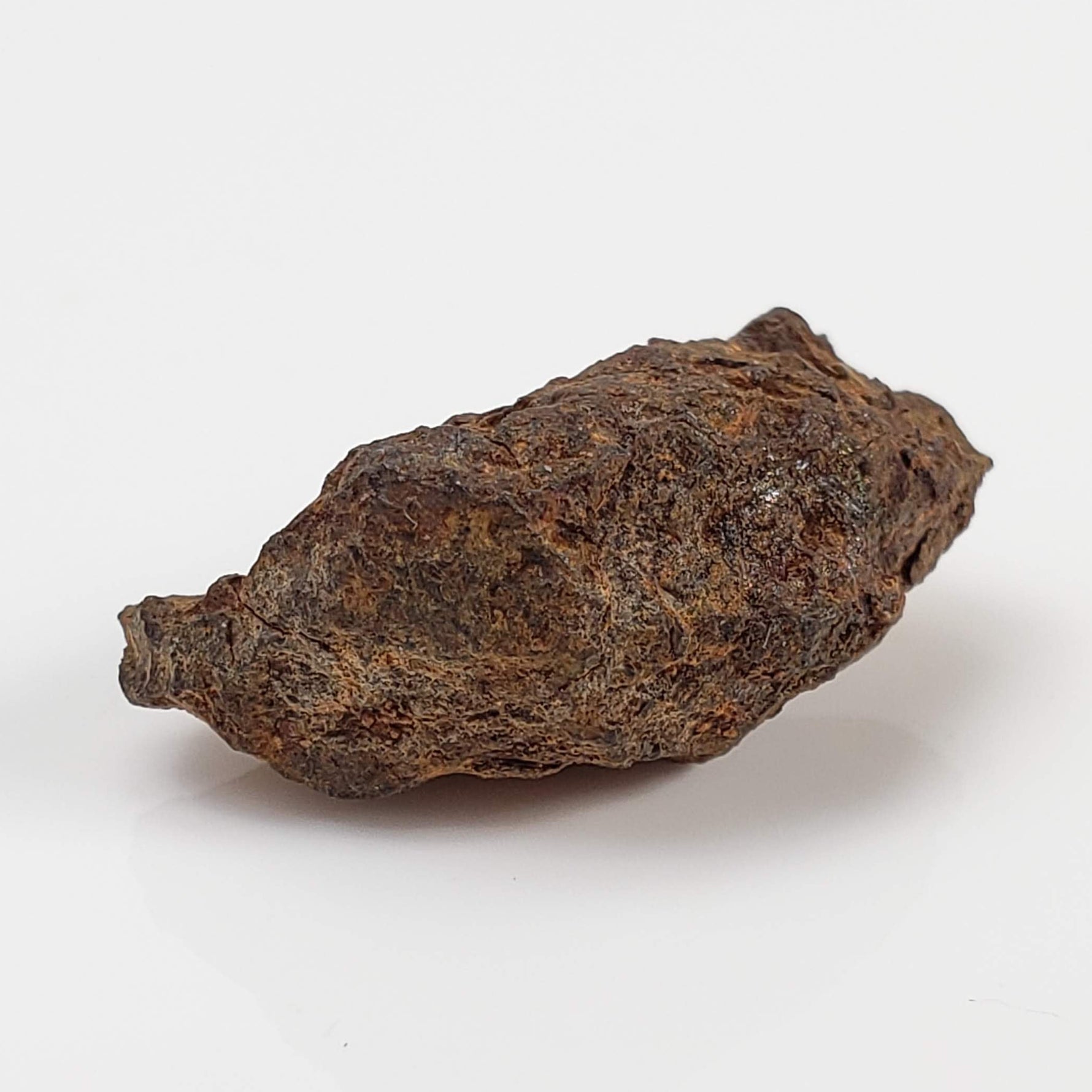 Vaca Muerta Meteorite | 4.04 Grams | Individual | Mesosiderite A1 | Famous | Chile 5