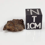 Vaca Muerta Meteorite | Micro | Fragment | Mesosiderite A1 | Famous | Chile-canagem-0