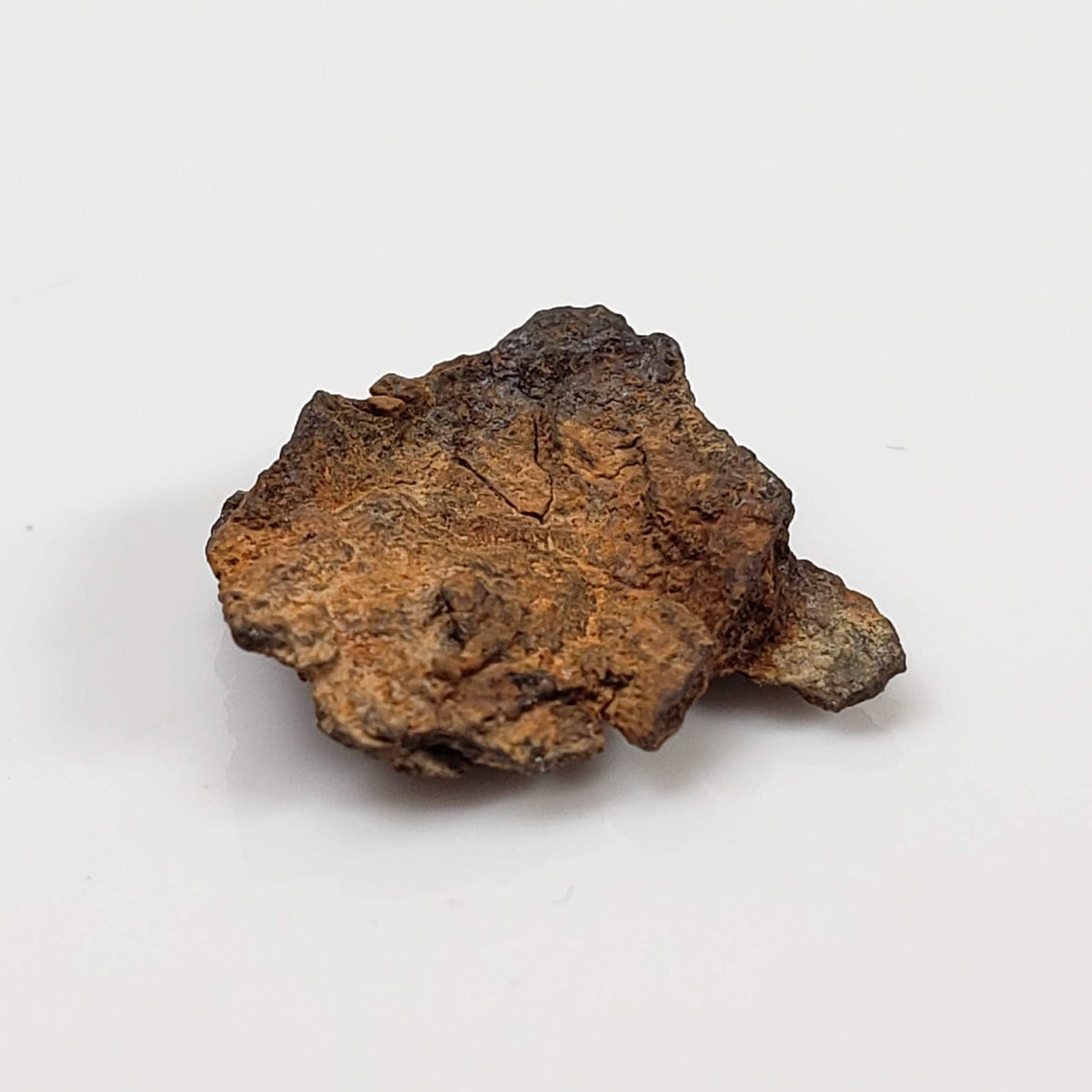 Vaca Muerta Meteorite | Micro | Fragment | Mesosiderite A1 | Famous | Chile-canagem-2