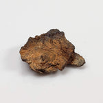 Vaca Muerta Meteorite | Micro | Fragment | Mesosiderite A1 | Famous | Chile-canagem-2