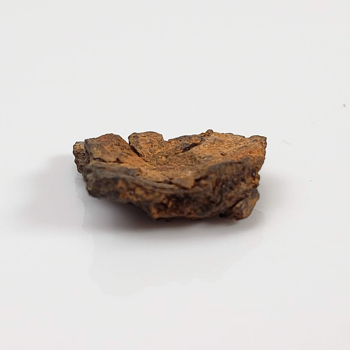 Vaca Muerta Meteorite | Micro | Fragment | Mesosiderite A1 | Famous | Chile-canagem-5