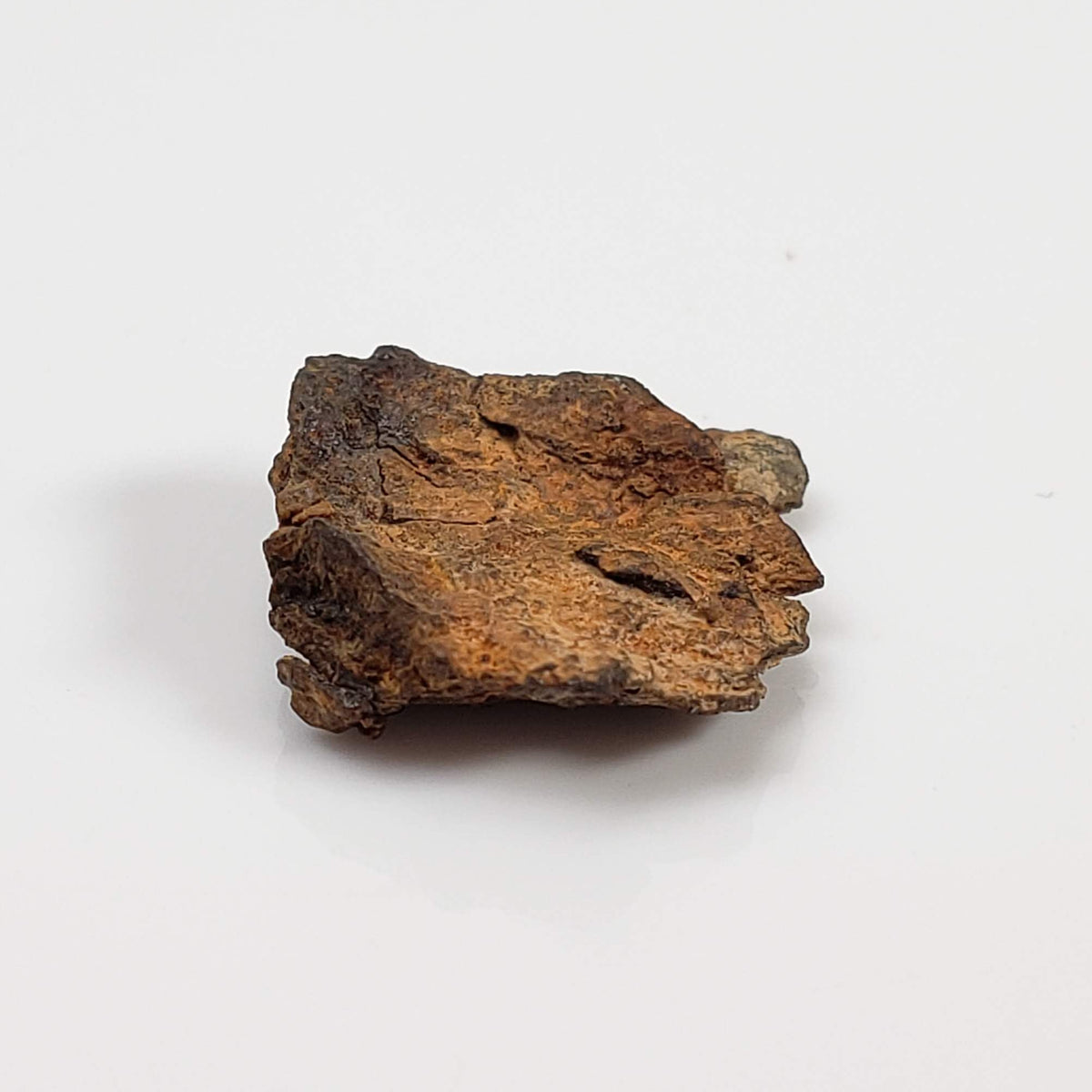 Vaca Muerta Meteorite | Micro | Fragment | Mesosiderite A1 | Famous | Chile-canagem-4