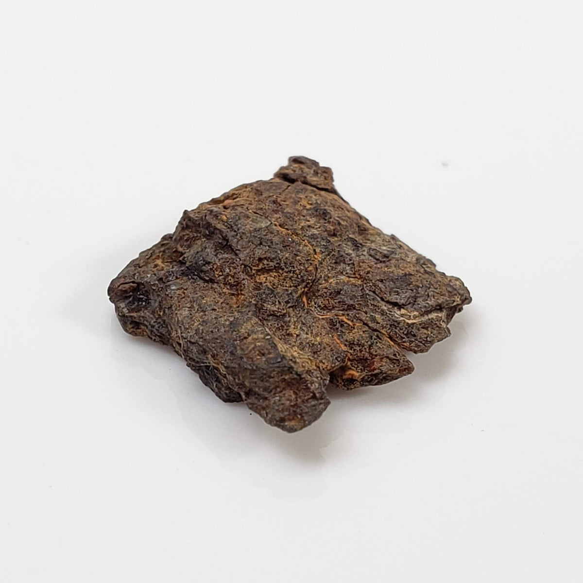 Vaca Muerta Meteorite | Micro | Fragment | Mesosiderite A1 | Famous | Chile-canagem-3