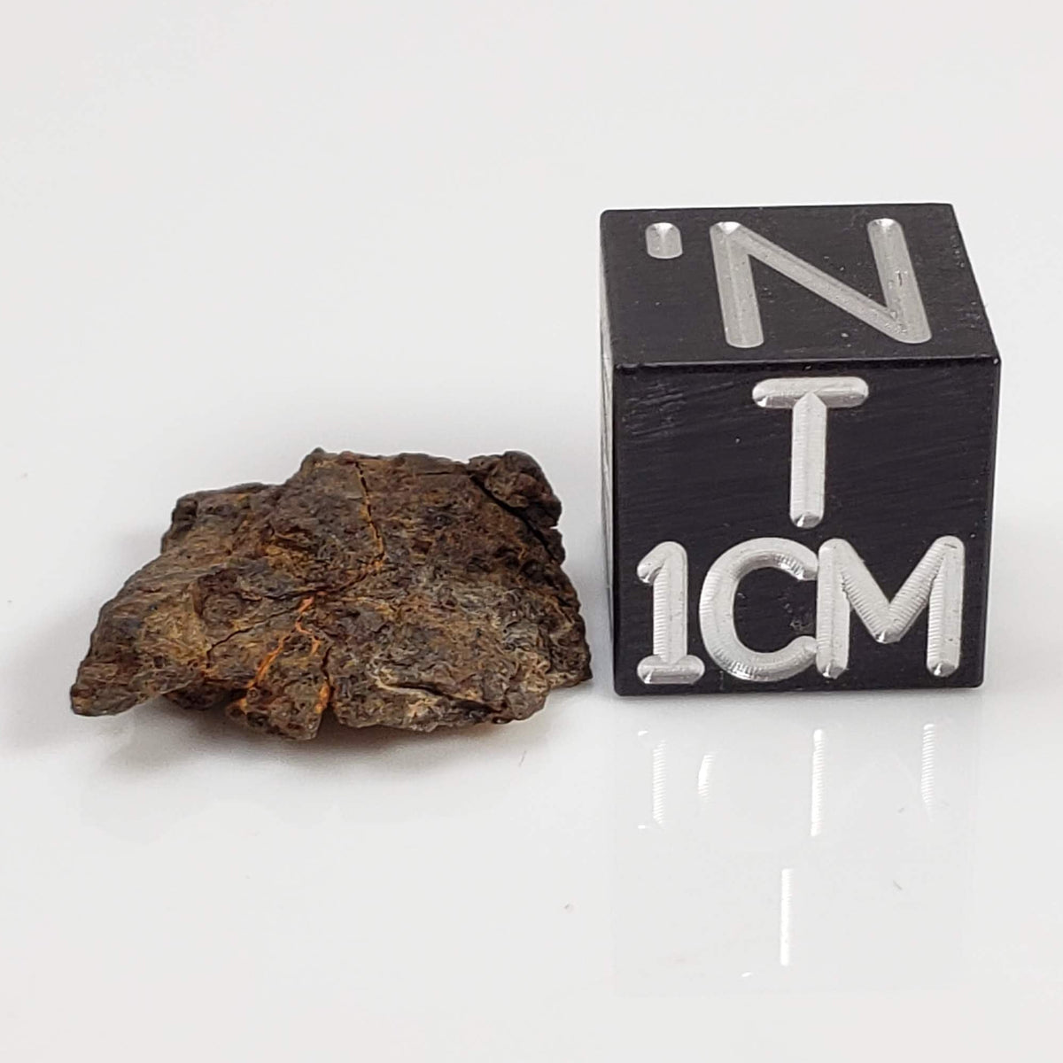 Vaca Muerta Meteorite | Micro | Fragment | Mesosiderite A1 | Famous | Chile