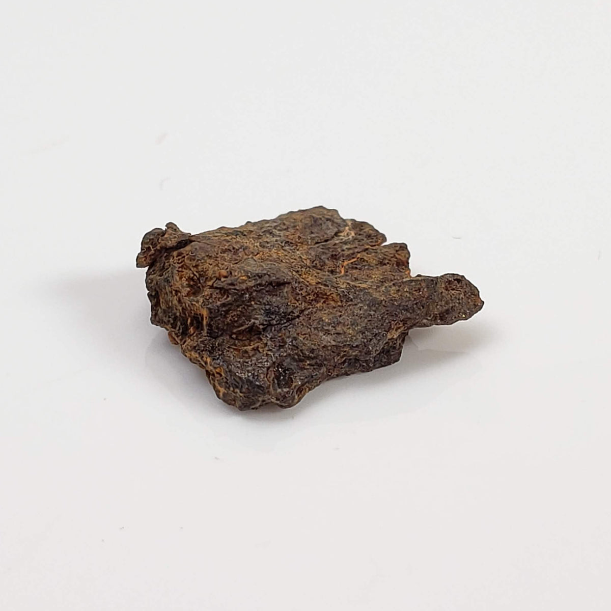 Vaca Muerta Meteorite | Micro | Fragment | Mesosiderite A1 | Famous | Chile