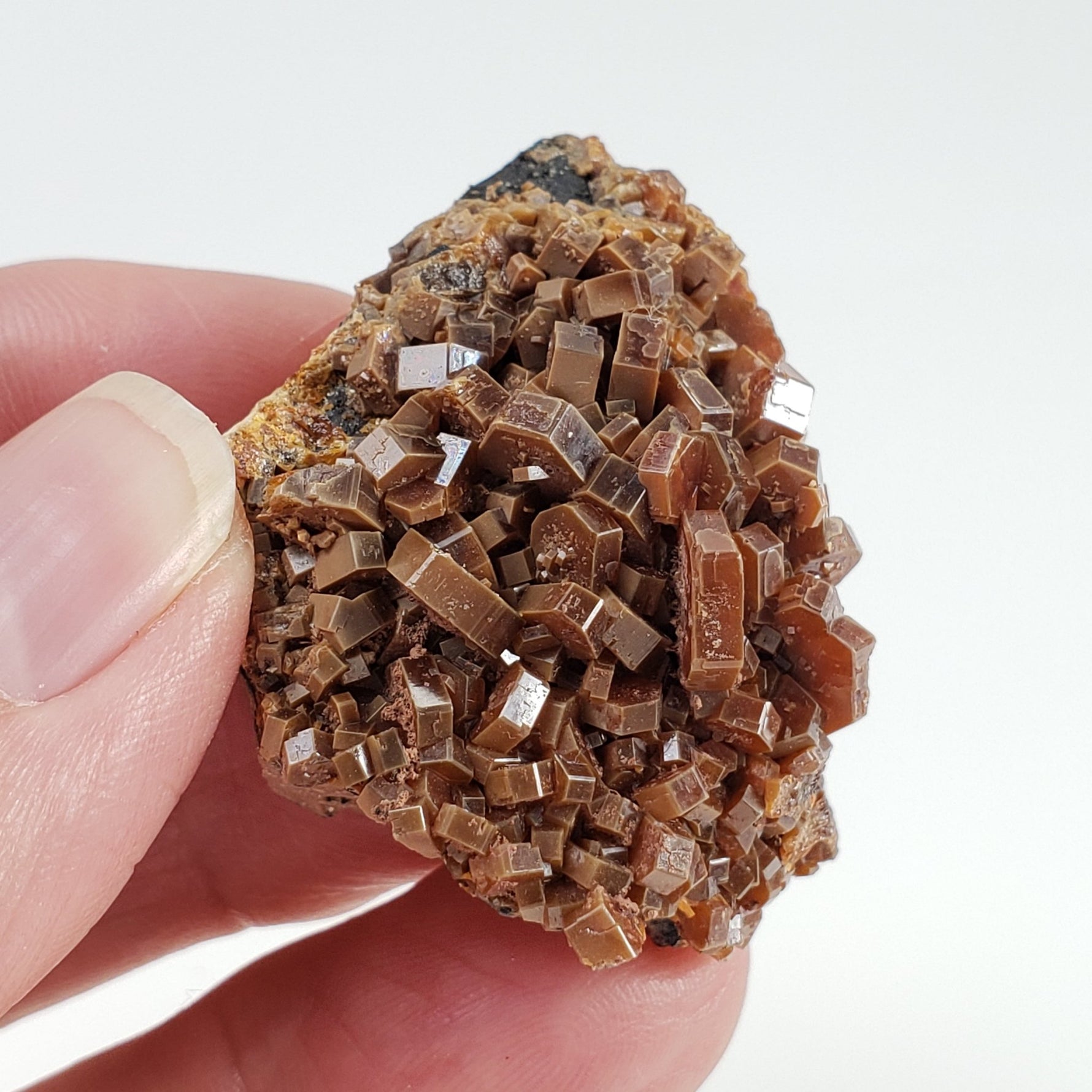  Vanadinite Crystal | Rare Brown Vanadinite | 36.4 grams | Mibladen, Morocco | SO24 6
