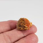  Vanadinite on Barite Crystal | 10.2 grams | Mibladen, Morocco 4