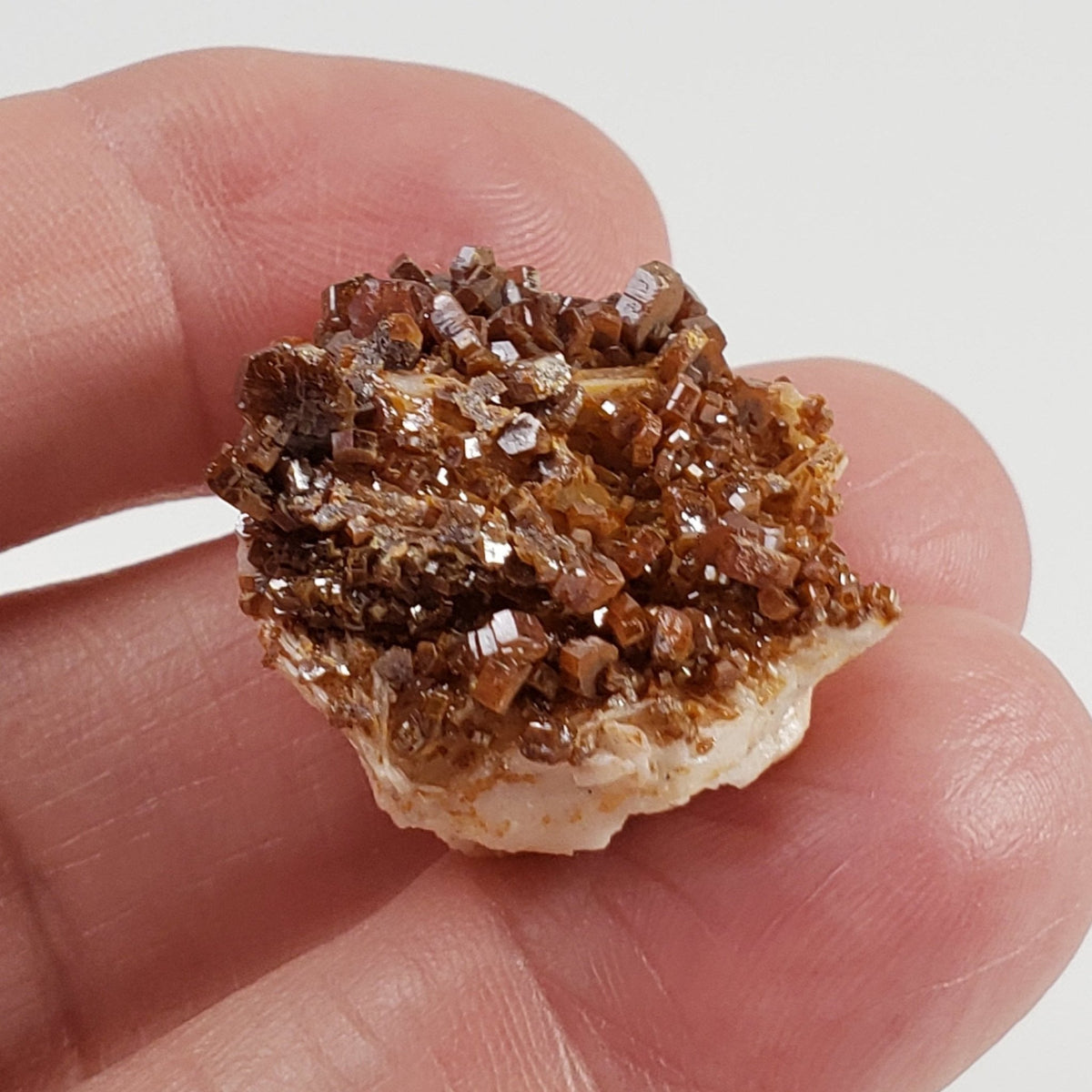  Vanadinite on Barite Crystal | 16.3 grams | Mibladen, Morocco 4