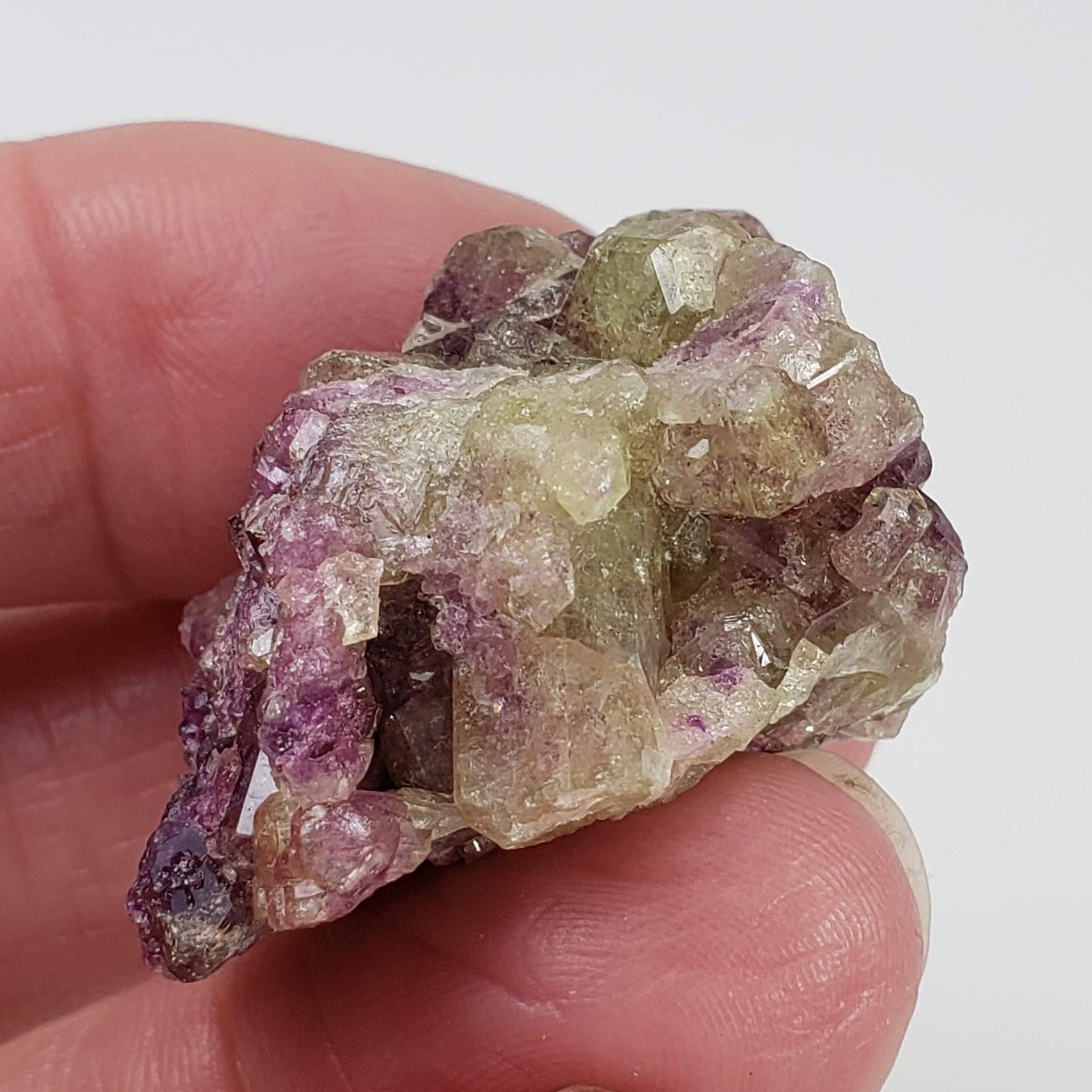  Vesuvianite Crystal | 24.35 Gr | Green and Mauve | Closed Jeffrey Mine | Asbestos, Québec 8