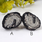  Volcanic Bomb | Rock Lava Crystal |  34-60 gr | Mt Shadwell Volcano, Australia | SO24 
