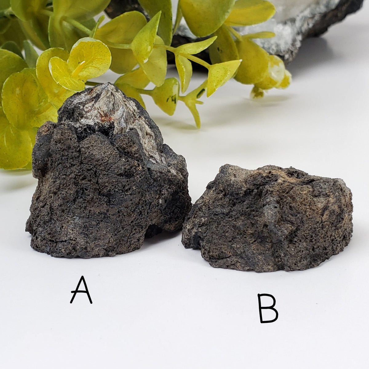  Volcanic Bomb | Rock Lava Crystal |  34-60 gr | Mt Shadwell Volcano, Australia | SO24 1