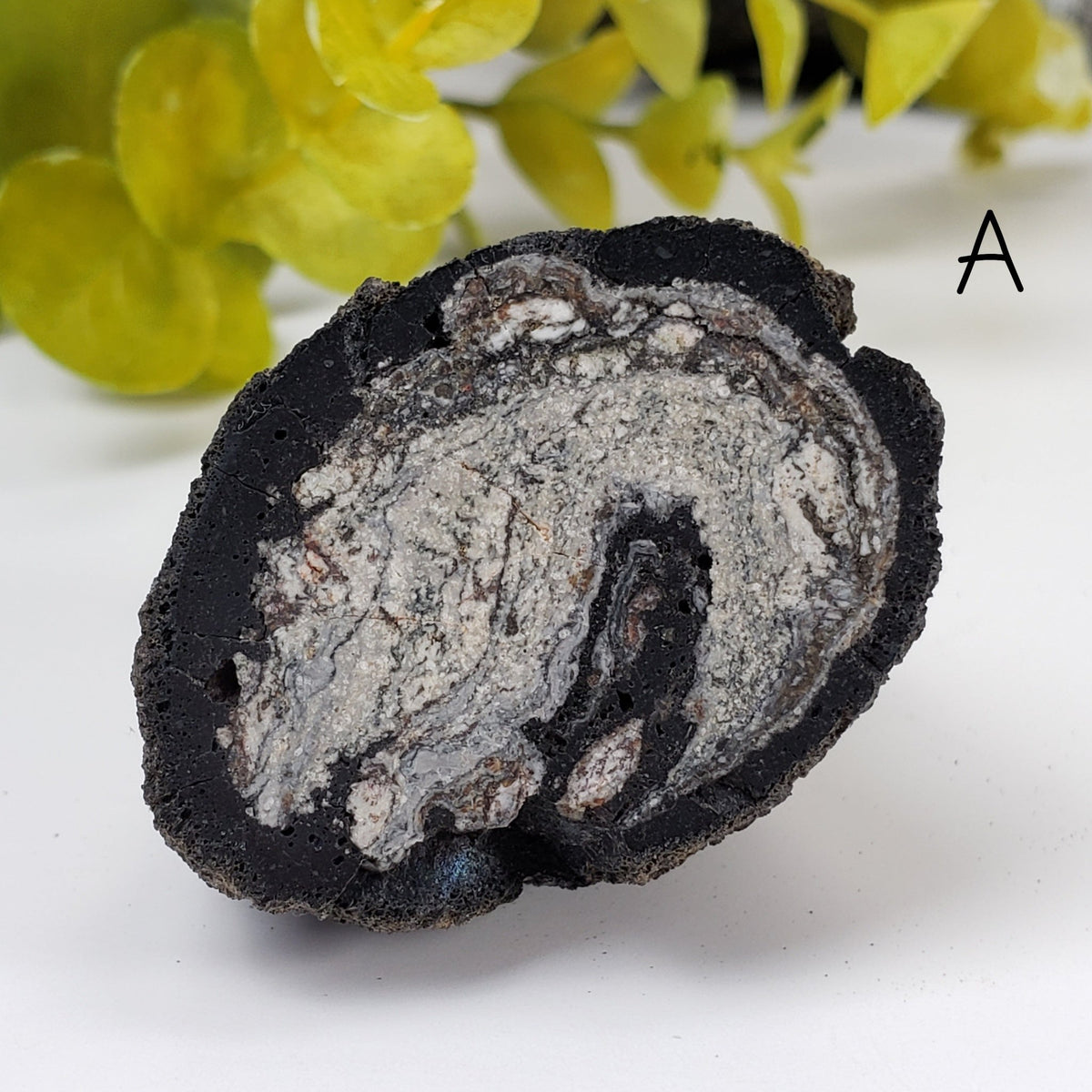  Volcanic Bomb | Rock Lava Crystal |  34-60 gr | Mt Shadwell Volcano, Australia | SO24 2
