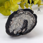  Volcanic Bomb | Rock Lava Crystal |  34-60 gr | Mt Shadwell Volcano, Australia | SO24 2