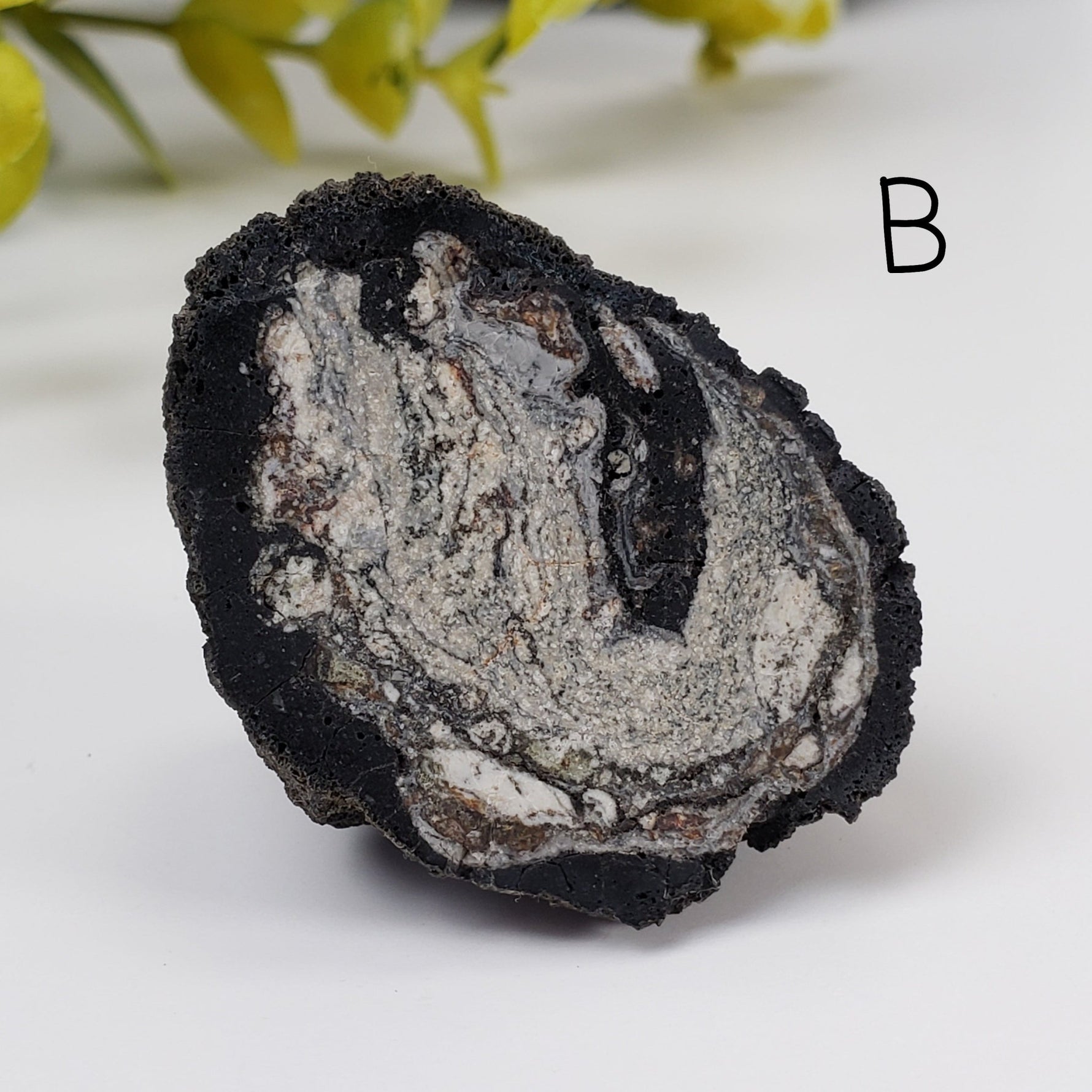  Volcanic Bomb | Rock Lava Crystal |  34-60 gr | Mt Shadwell Volcano, Australia | SO24 3