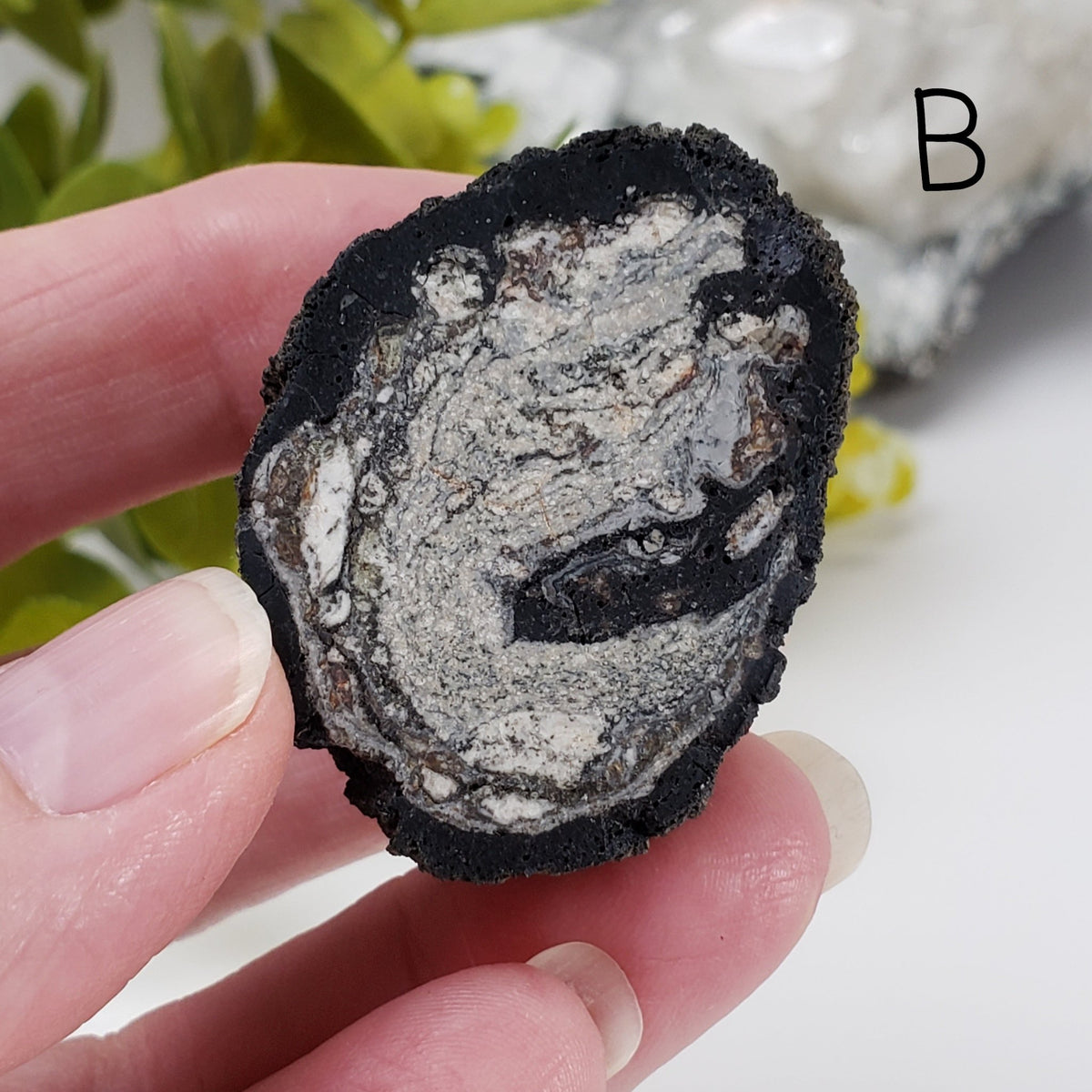  Volcanic Bomb | Rock Lava Crystal |  34-60 gr | Mt Shadwell Volcano, Australia | SO24 5