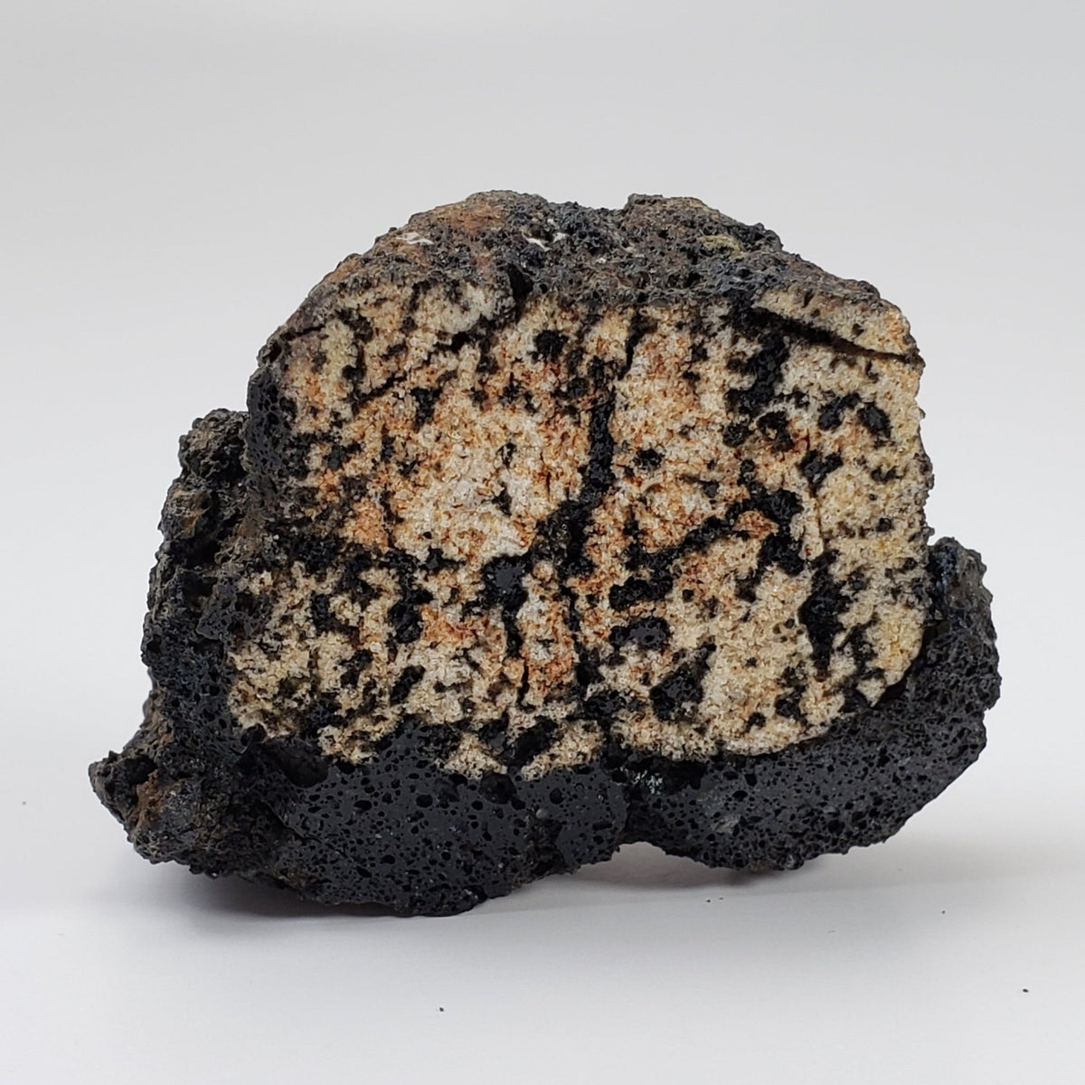  Volcanic Bomb | Rock Lava Crystal | 40.4 gr | Mt Shadwell, Australia | SO24 