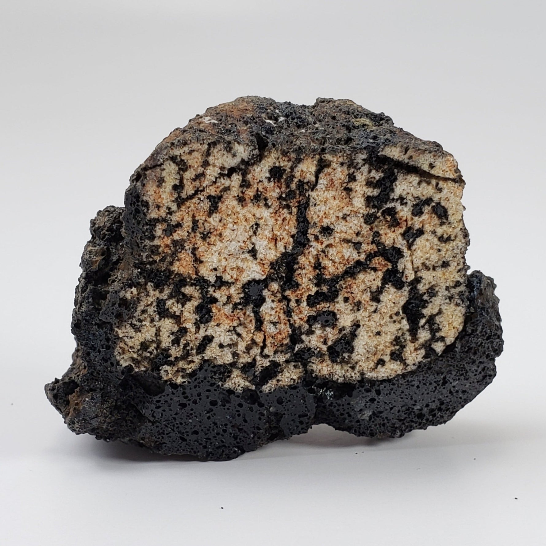 Volcanic Bomb | Rock Lava Crystal | 40.4 gr | Mt Shadwell, Australia | SO24 
