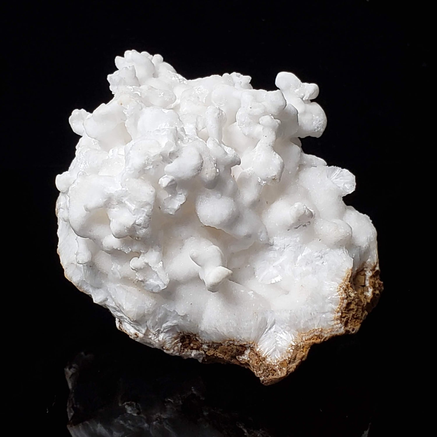  White Aragonite Cluster | Cave Calcite  | 111.8 grams | Arizona, USA 