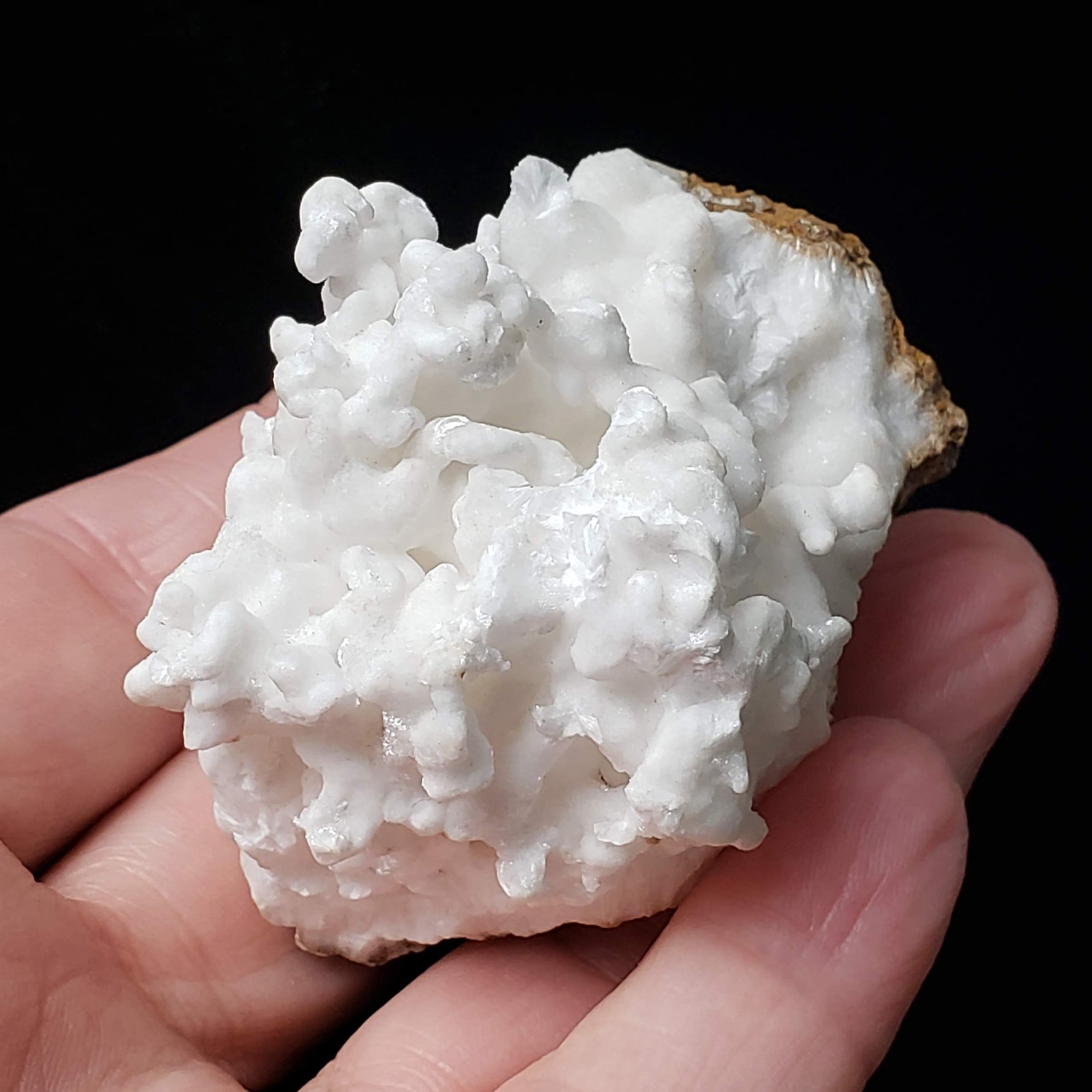 White Aragonite Cluster | Cave Calcite  | 111.8 grams | Arizona, USA 7