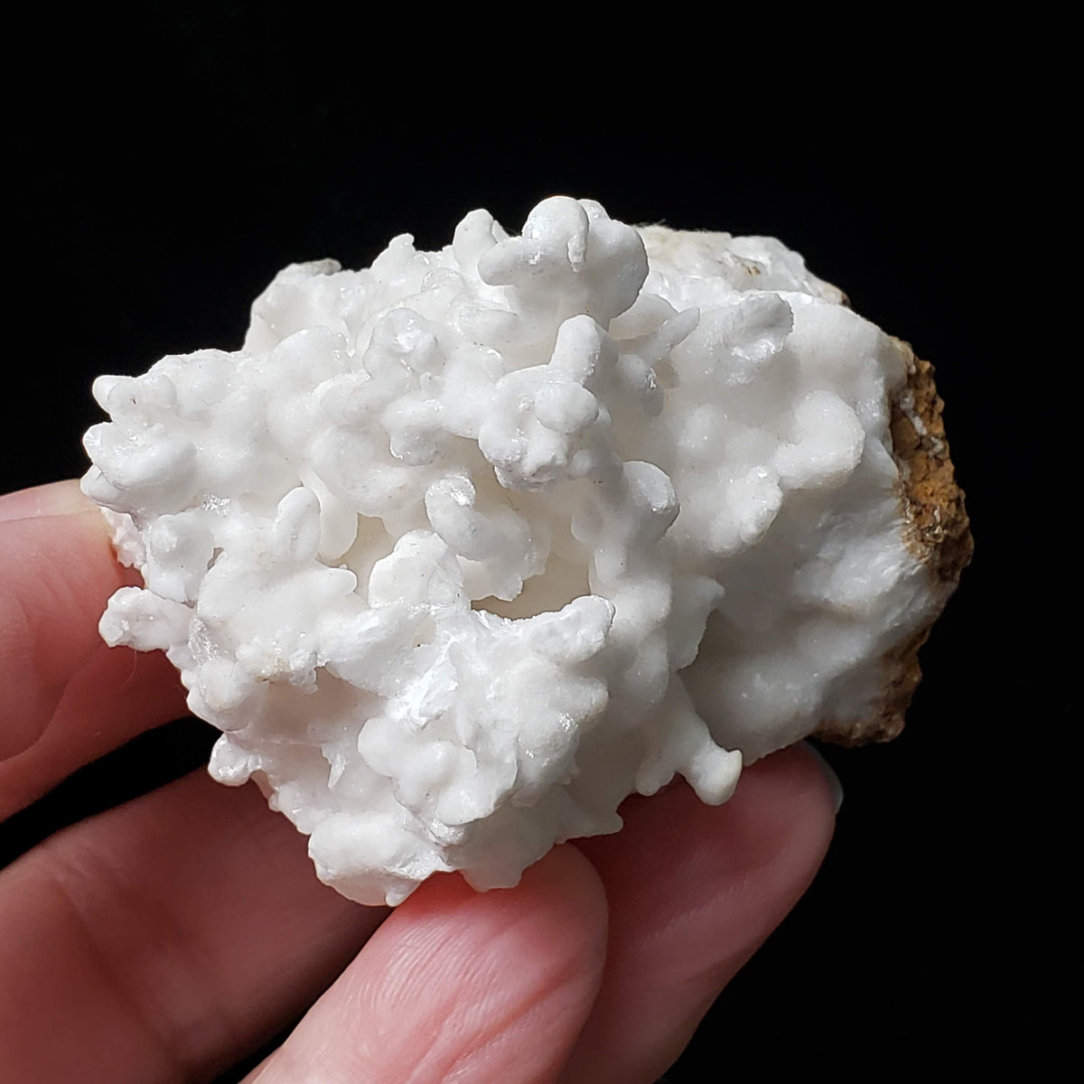  White Aragonite Cluster | Cave Calcite  | 111.8 grams | Arizona, USA 6