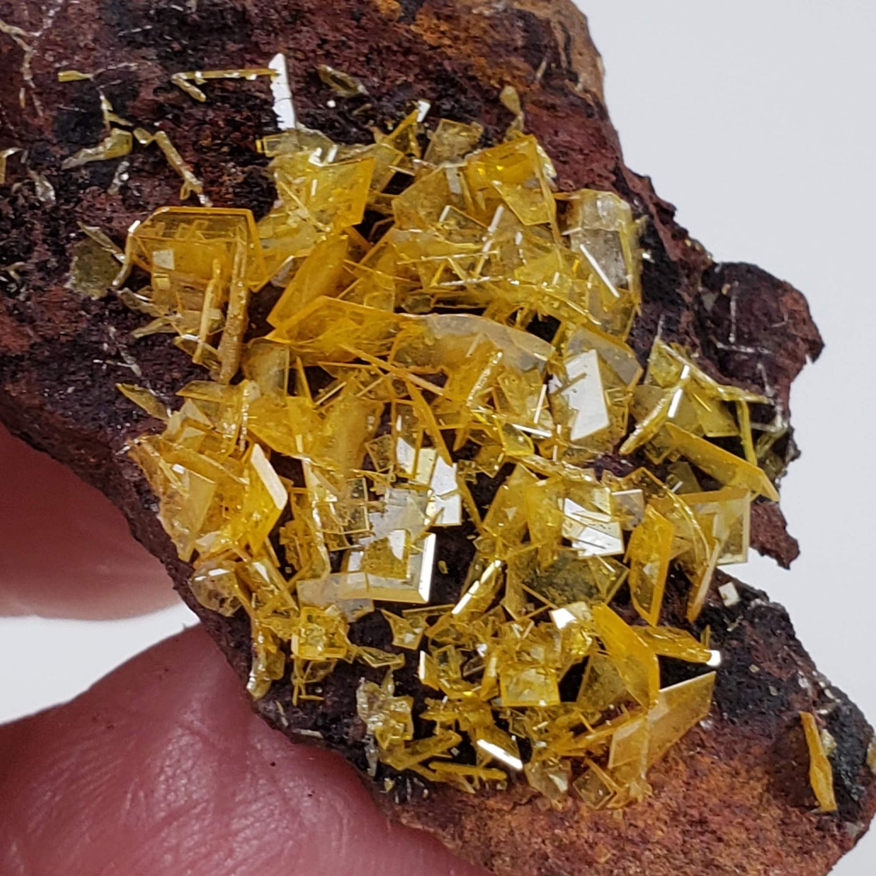  Wulfenite Crystal Cluster | 12.26 Grams | Total Wreck Mine | Arizona USA 2
