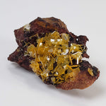  Wulfenite Crystal Cluster | 12.26 Grams | Total Wreck Mine | Arizona USA 5
