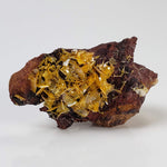  Wulfenite Crystal Cluster | 12.26 Grams | Total Wreck Mine | Arizona USA 4