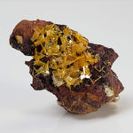  Wulfenite Crystal Cluster | 12.26 Grams | Total Wreck Mine | Arizona USA 8