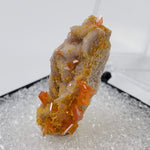  Wulfenite Crystal Cluster | Perky Box Thumbnail Specimen | Rowley Mine | Arizona USA 2