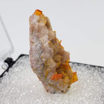  Wulfenite Crystal Cluster | Perky Box Thumbnail Specimen | Rowley Mine | Arizona USA 3