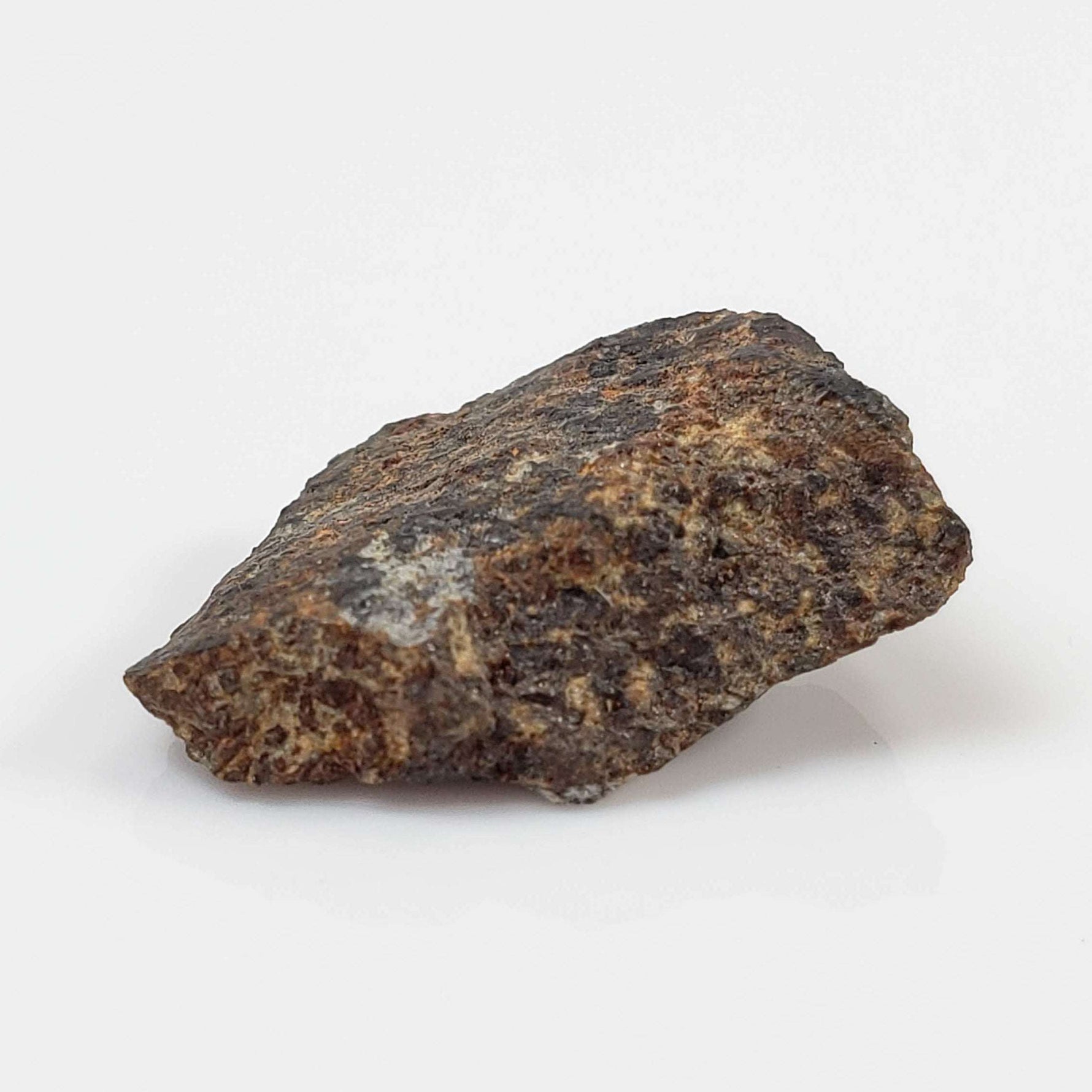  Zag Meteorite | 1.22 Grams | Crusted Individual | H3-6 | Premium Observed Fall | Morocco 4