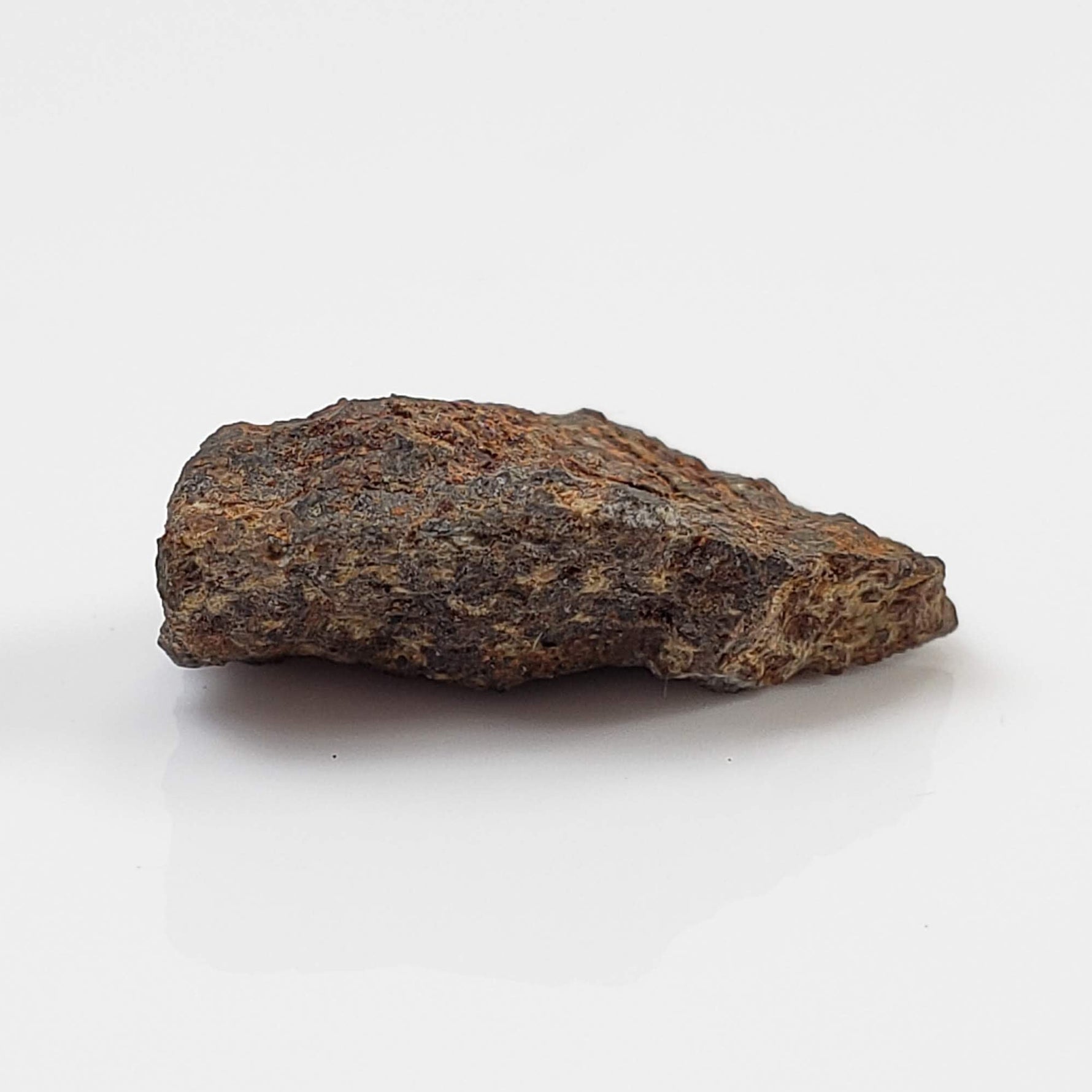  Zag Meteorite | 1.22 Grams | Crusted Individual | H3-6 | Premium Observed Fall | Morocco 2