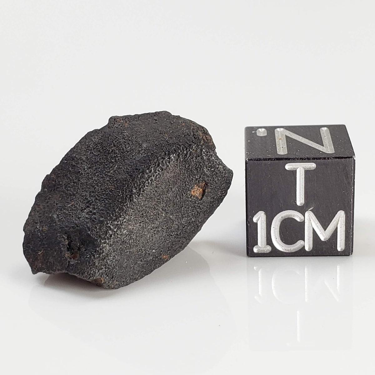  Zag Meteorite | 4.34 Grams | Crusted Individual | H3-6 | Premium Observed Fall | Morocco 