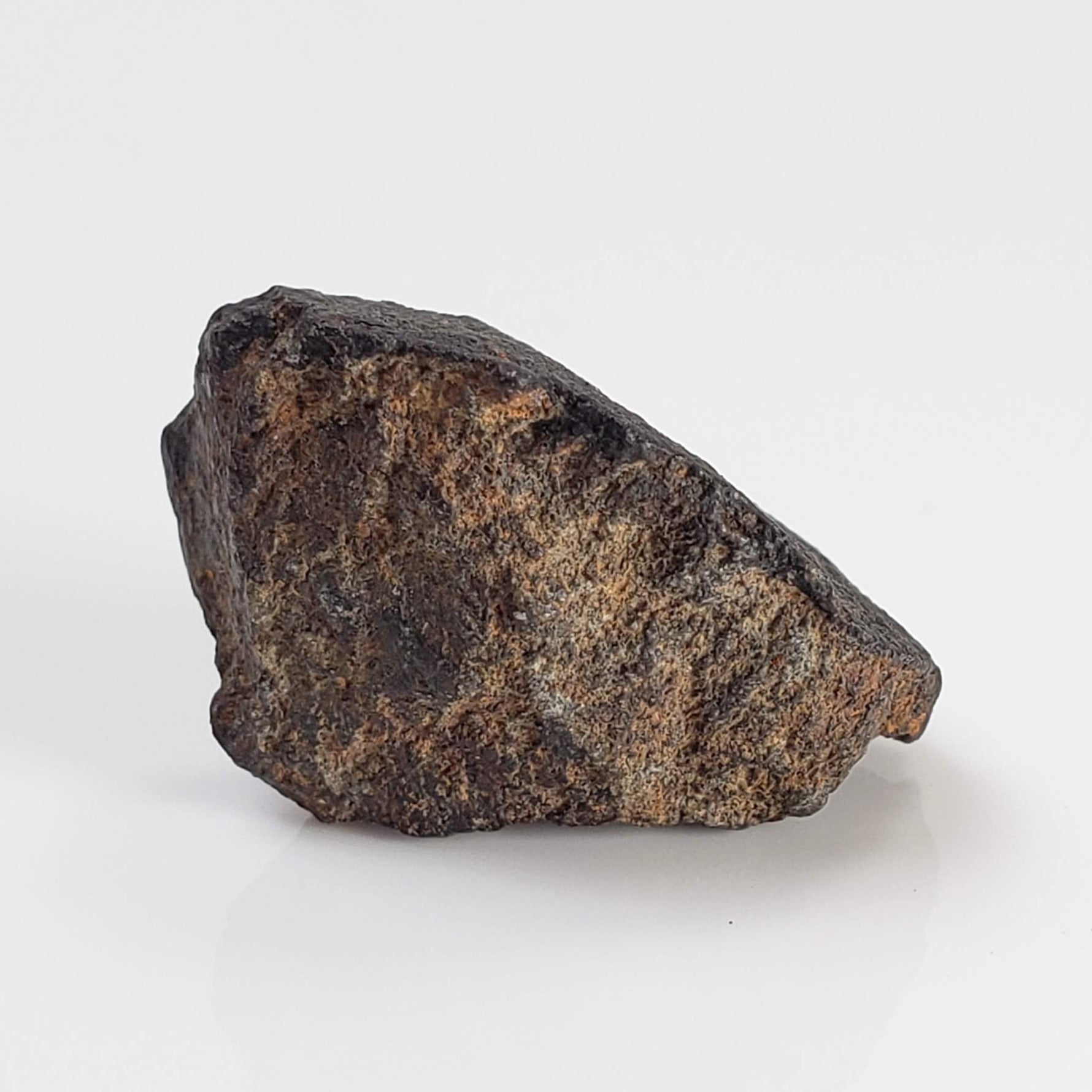  Zag Meteorite | 4.34 Grams | Crusted Individual | H3-6 | Premium Observed Fall | Morocco 3