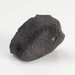  Zag Meteorite | 4.34 Grams | Crusted Individual | H3-6 | Premium Observed Fall | Morocco 6