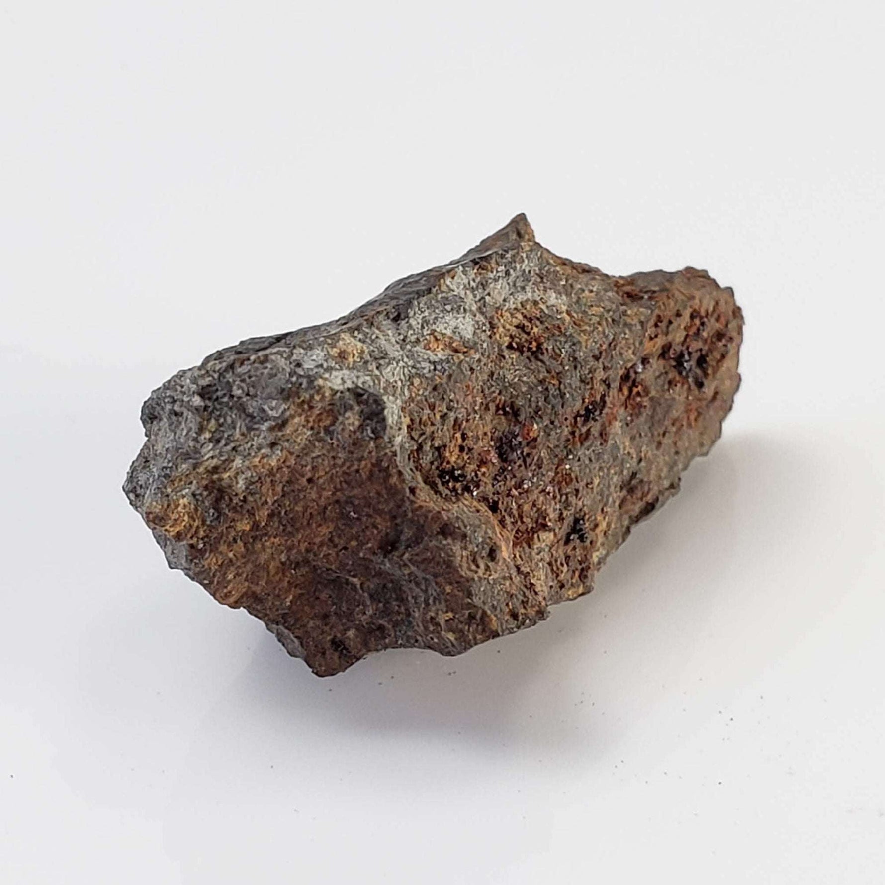 Zag Meteorite | 4.77 Grams | Crusted Individual | H3-6 | Premium Observed Fall | Morocco