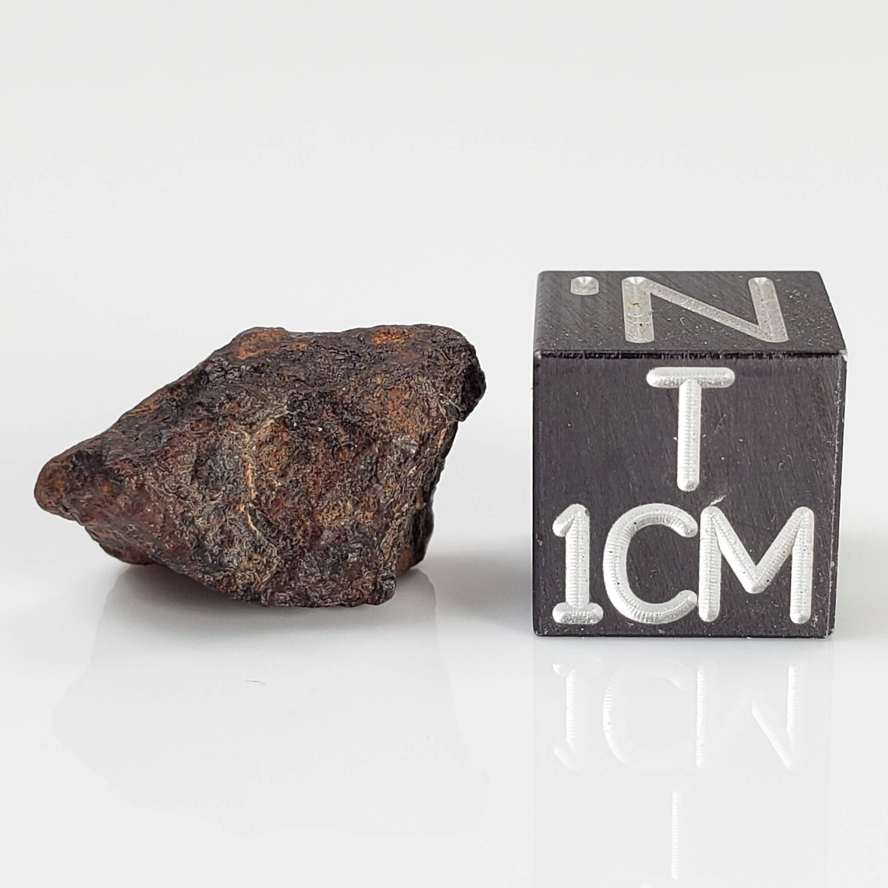  Zagora Meteorite | 3 Gr | Individual | Iron IAB-ung | Morocco 