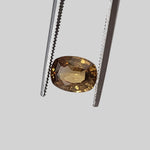  Zircon | Antique Cut | Yellow | 8x6mm | Cambodia 1