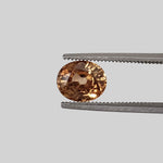  Zircon | Oval Cut | Golden | Natural | 7x5.7mm 1.74ct | Cambodia 