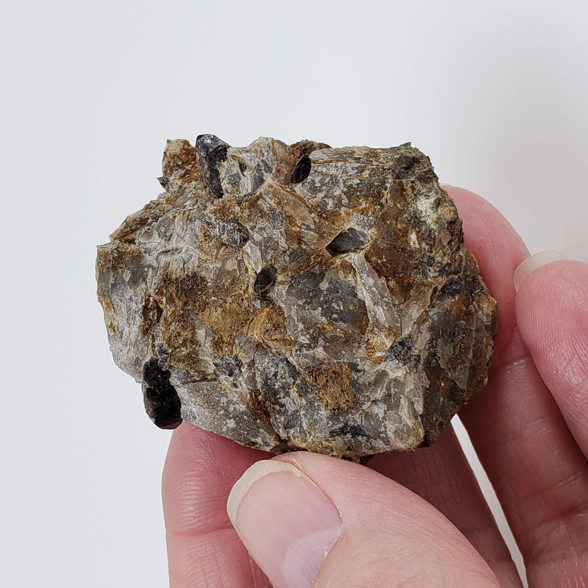  Zircon var. Cyrtolite Crystals | 38.10 Grams | Saranac Mine | Tory Hill, Ontario Canada 5
